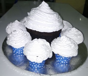 Fresh Whipped Cream Cake and Cupcake