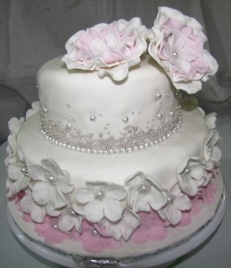 Two tiered Bridal Shower Cake Wedding Cake