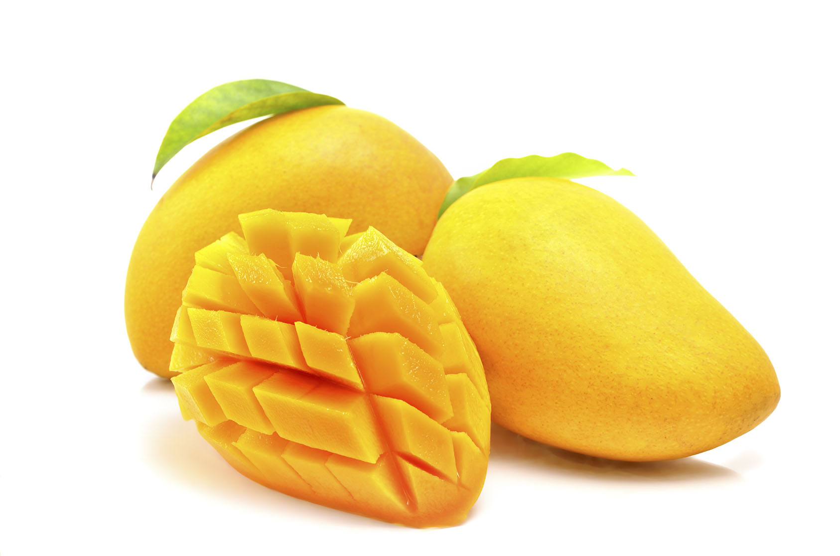 mango fruit mango fruit