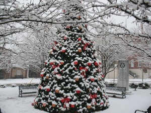 Frosty Christmas Morning