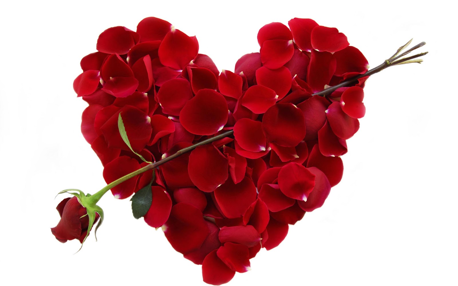 Happy Valentine's Day 2017