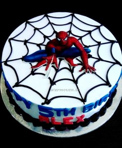 White Spiderman cake with edible photo print