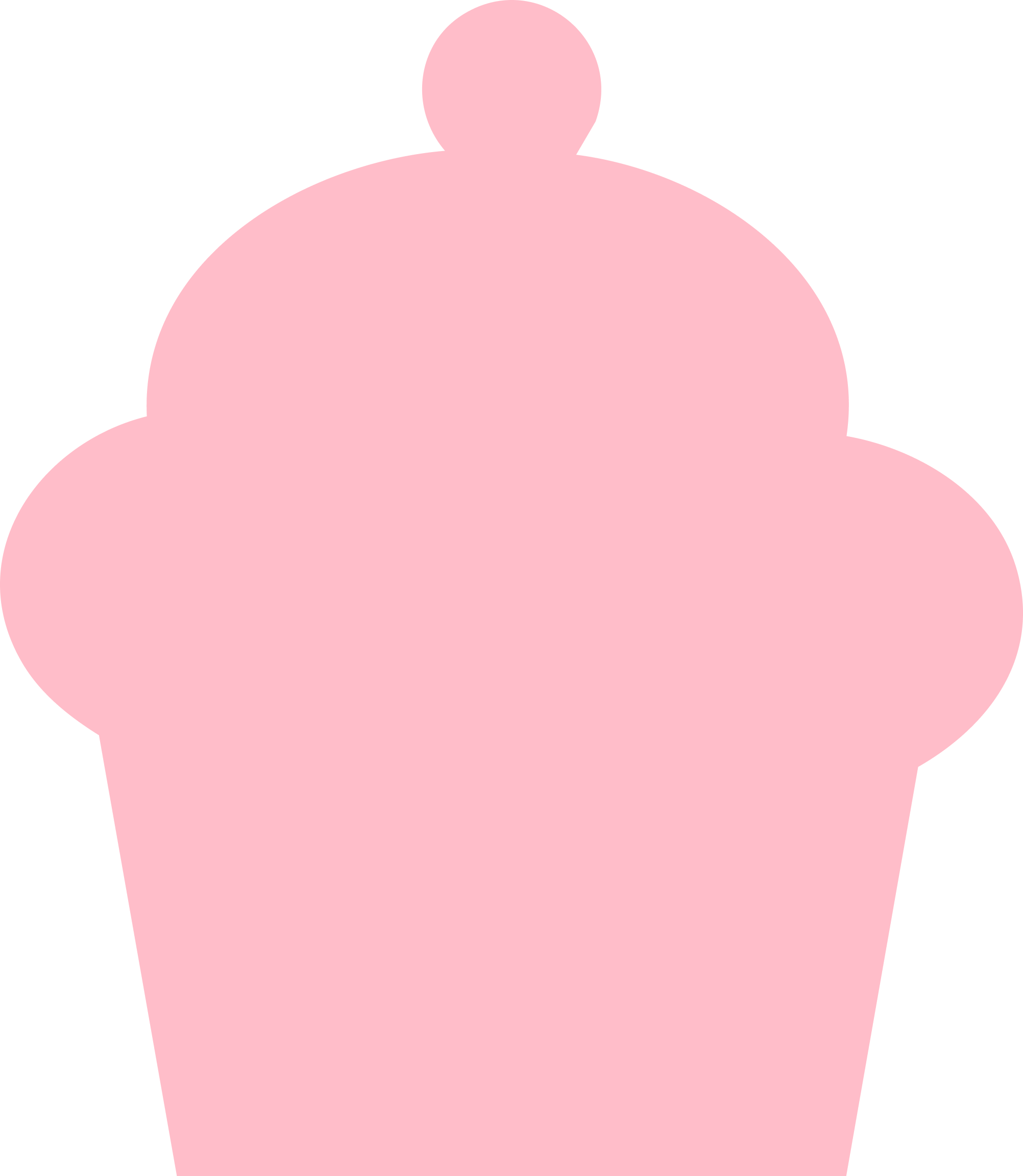 Owner Image