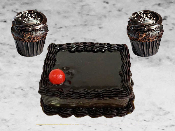 Chocolate Mini & Cupcake Combo