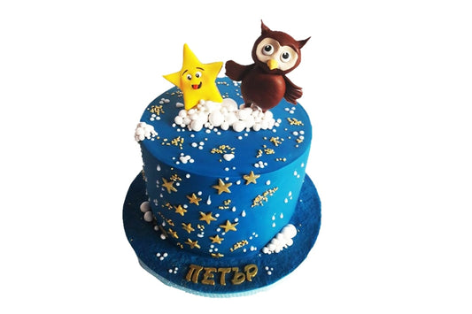 Owl & Star Cake