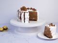 Ferrero Ice cream Cake