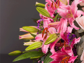 Pretty Woman Flowers