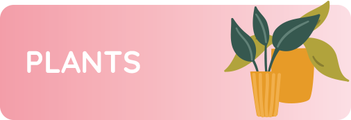 Plants online for your loved ones from Warmoven